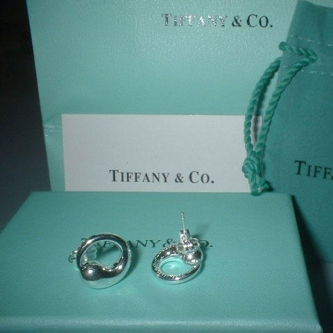 eternal circle earrings.jpg